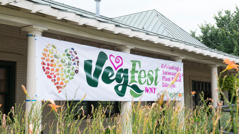 Veg Fest The Public