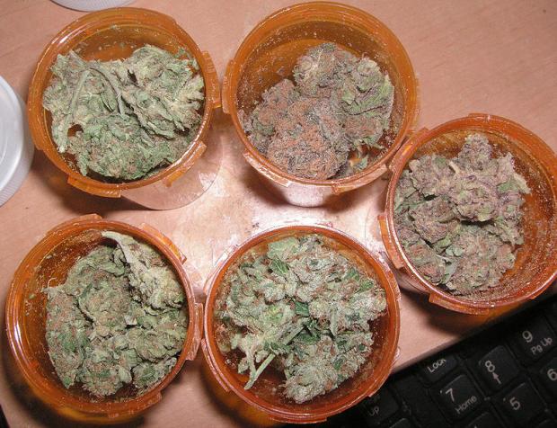 From Wikimedia Commons:&nbsp;Four different strains to help ease pain, insomnia, and lack of hunger due to chemotherapy.
