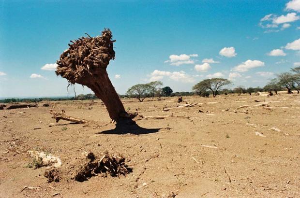 Orin Langelle's exhibit "Climate Change: Faces, Places &amp; Protest"&nbsp;is at&nbsp;¡Buen Vivir! gallery until 12/19. (Photo courtesy of Orin Langelle)
