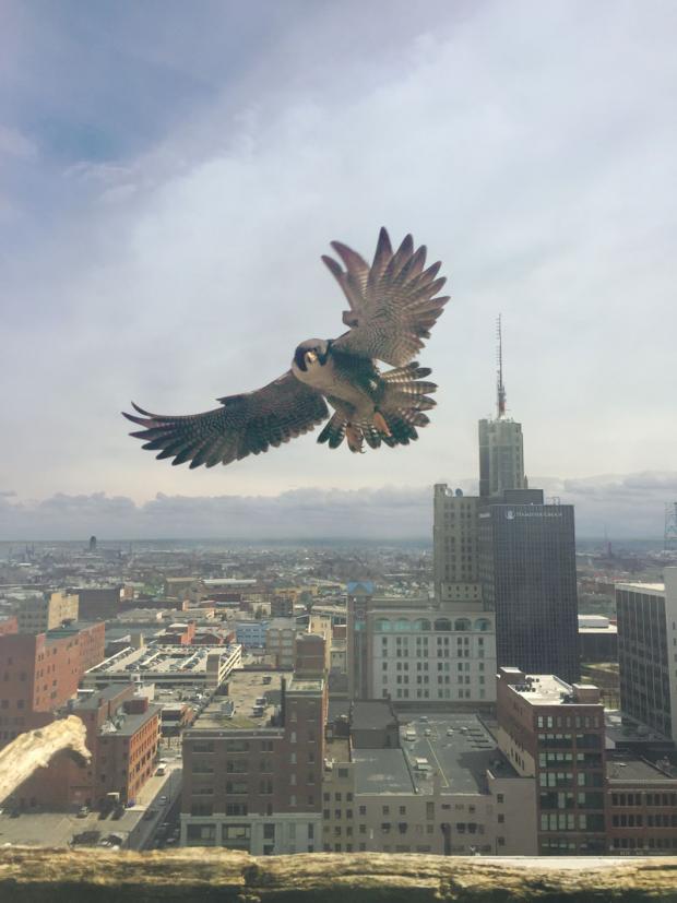 Photo by&nbsp;Kevin Rybczyński.&nbsp;
