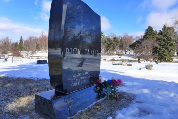 Rick James's headstone in Section 10 of Buffalo's Forest Lawn Cemetery.&nbsp;Photo by Nancy J. Parisi.
