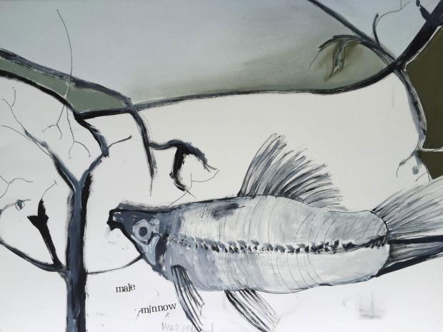 Male Minnow&nbsp;by Dorothy Fitzgerald (click to enlarge).
