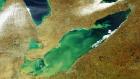 Lake Erie Algae map- summer 2015

