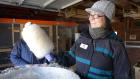 Lauren Makeyenko spinning maple cotton candy.&nbsp;Photo by Nancy J. Parisi.
